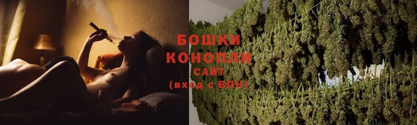 ешки Белокуриха