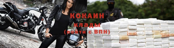 ешки Белокуриха