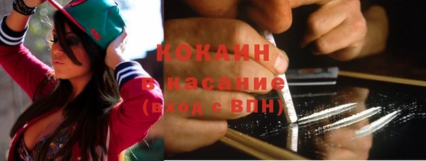 стаф Богданович