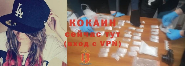 стаф Богданович
