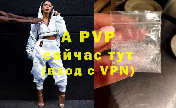 ешки Белокуриха