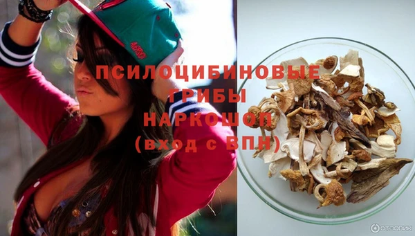ешки Белокуриха